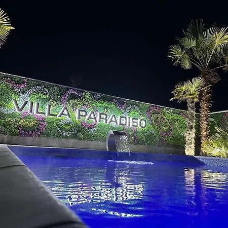 Paradiso 비옐리나